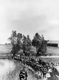 Ulrich: Army Group North in Lithuania, 1941