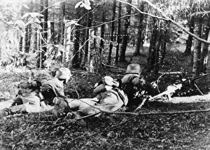 Vilnius: Army Group North in Lithuania, 1941