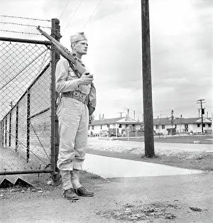 Belvoir: Army - Military - WWII