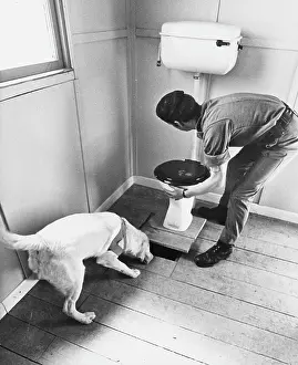 Cistern: Army sniffer dog at work