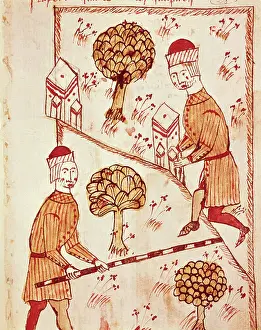 Traite: Arnaldus de Villa Nova (1240 - 1312); BOYSSET