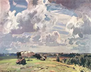 Expansive: Arnesby Brown Cow Scene