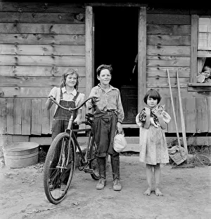 Thurston: Three of the four Arnold children