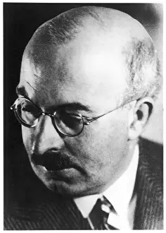Zweig: ARNOLD ZWEIG