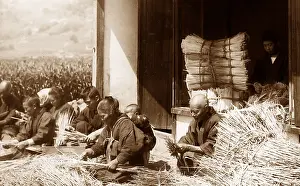 Bedding: Arranging straw for bedding, Japan