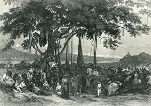 Mutiny: Arrival of a contingent force of Sikh Irregular Cavalry