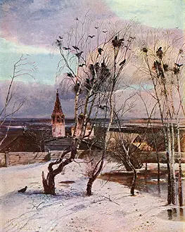 Rooks: Arrival of the crows in a Russian village