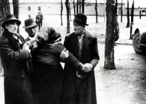Gendarmerie: Arrival of Hungarian Jews in Auschwitz-Birkena