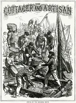 Fisheries: Arrival of the Mackerel Boats 1868