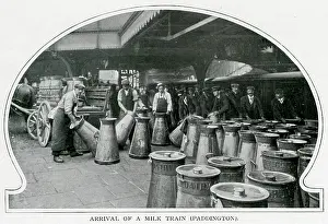 Churns: Arrival of a milk train, Paddington Station 1903