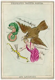 Antinous: THE ARROW STAR MAP
