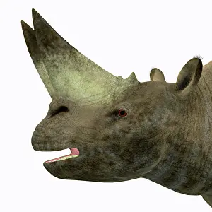 Eocene: Arsinoitherium animal head