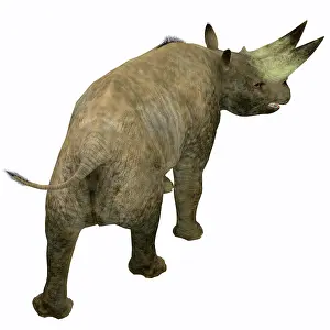 Eocene: Arsinoitherium mammal, rear view