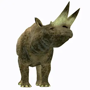 Eocene: Arsinoitherium mammal, front view