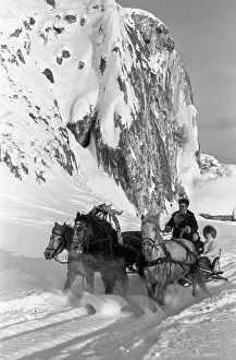 Sled: Arskiy Kamen camp site