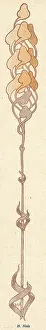 Everyone: Thin Art Nouveau Flower