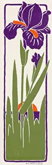 Incorporating: Art Nouveau Iris 1897
