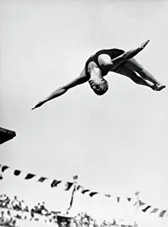 Springboard: Art Springer Richard Degener