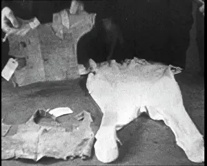 Lindberghs: Articles Of Evidence Presented During The Lindbergh's