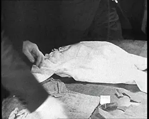 Lindberghs: Articles Of Evidence Presented During The Lindbergh's