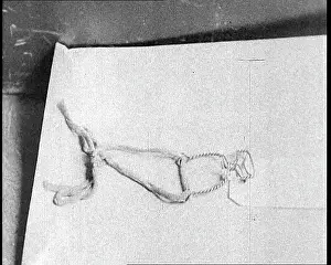 Lindberghs: Articles Of Evidence Presented During The Lindbergh's