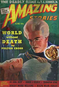Polton: ARTIFICIAL HEART