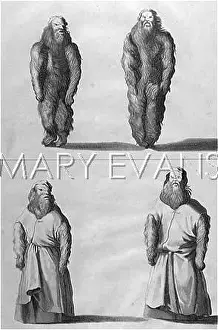 Mandragora: ARTIFICIAL MANDRAKES