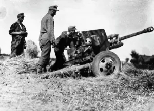 Waffen: Artillery piece of a Waffen SS unit - Eastern Front