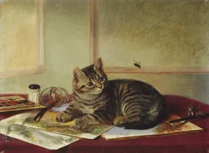 Disturbed: The Artist Disturbed ' tabby kitten