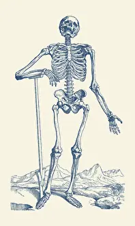Anterior: Artistic view of a skeleton standing in before mountains