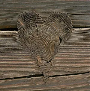 Artistically: Artistically worked pin in wooden wall