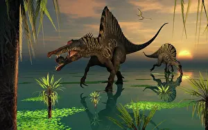 Biting: Artist's concept of Spinosaurus