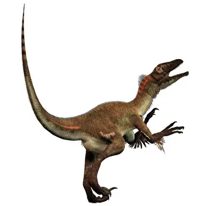 Howling: Artist's concept of a Utahraptor