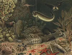 Impression: Artist's impression of deep sea scene with luminous