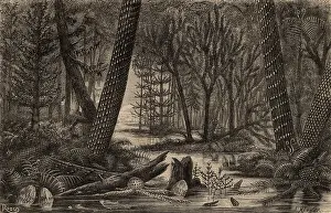 Palaeontology: Artist's reconstruction of a carboniferous forest