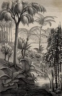 Measures: Artist's reconstruction of a forest during the