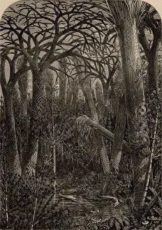 Palaeontology: Artist's reconstruction of a forest during the