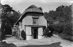 Hedges: Arts and Crafts Shop