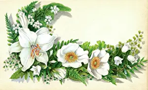 Patricia Aubrey: Artwork by Florence Auerbach, white flowers