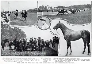 Jun24: Ascot Gold Cup - obstruction of Tracery