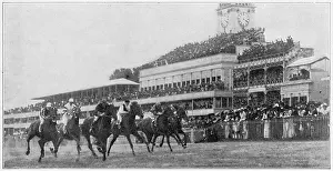 Grandstand: Ascot Grandstand 1901