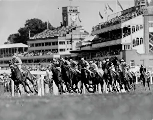 Rounding: The Ascot stakes