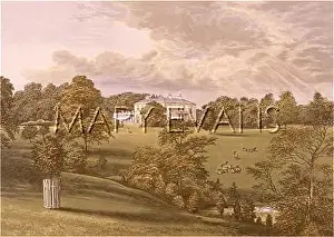 Ashcombe: Ashcombe Park, Staffordshire, England