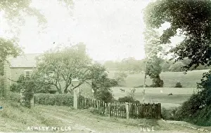 Altrincham: Ashley Mills