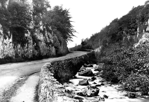 C1876: Ashwood Dale, c1876