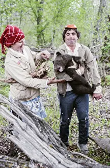 Orphaned: Asian black bear cub