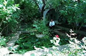 Nadir: Asil Nadir In The Garden Of
