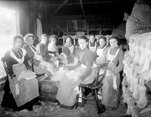 Plucking: Askett Duck Farm