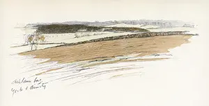 Foxhunt: Askham Bogs, York and Ainsty Hunt area, Yorkshire