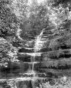 Askrigg: Askrigg, Low Force, Raydale 1911